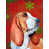 Basset hound 4
