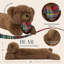 Coussin Phantoscope Christmas Animal Series
