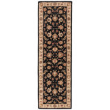 Mythos Wool Oriental Area Rug