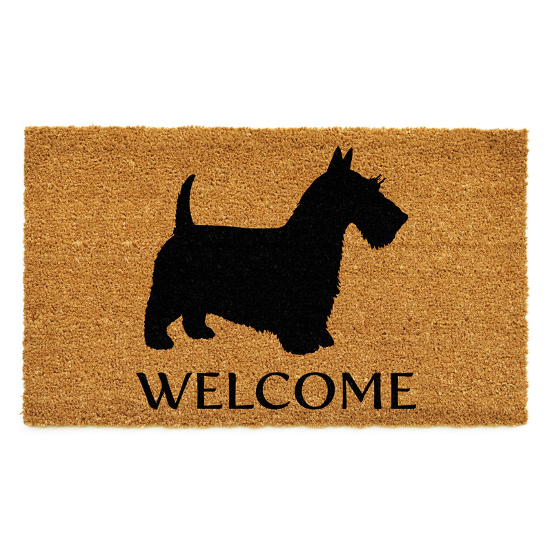 Non-Slip Indoor Doormat, 17" W x 29" L