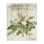 «French Magnolias in Spring», art mural surdimensionné sur toile tendue par Sue Schlabach