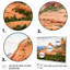 «Beautiful Shot Sedona Arizona», reproduction-974888055-974888052