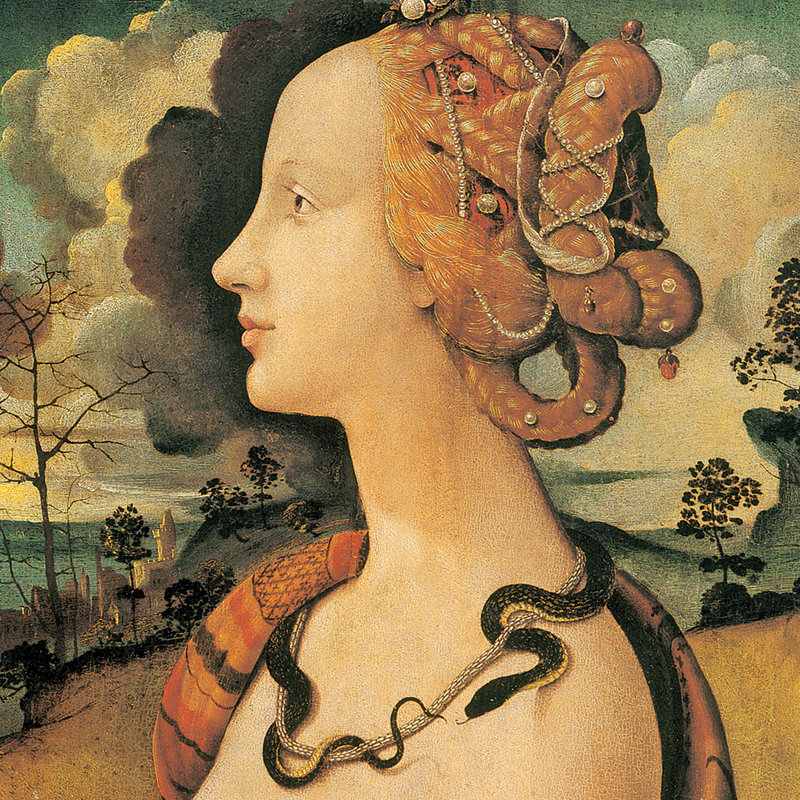 " Portrait Of Simonetta Vespucci, 1480 " by Piero Di Cosimo, 16.5" H x 14.5" W x 1.75" D