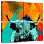 Brampt Highland Cow VI-109154763