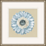 Daisy 4 Print