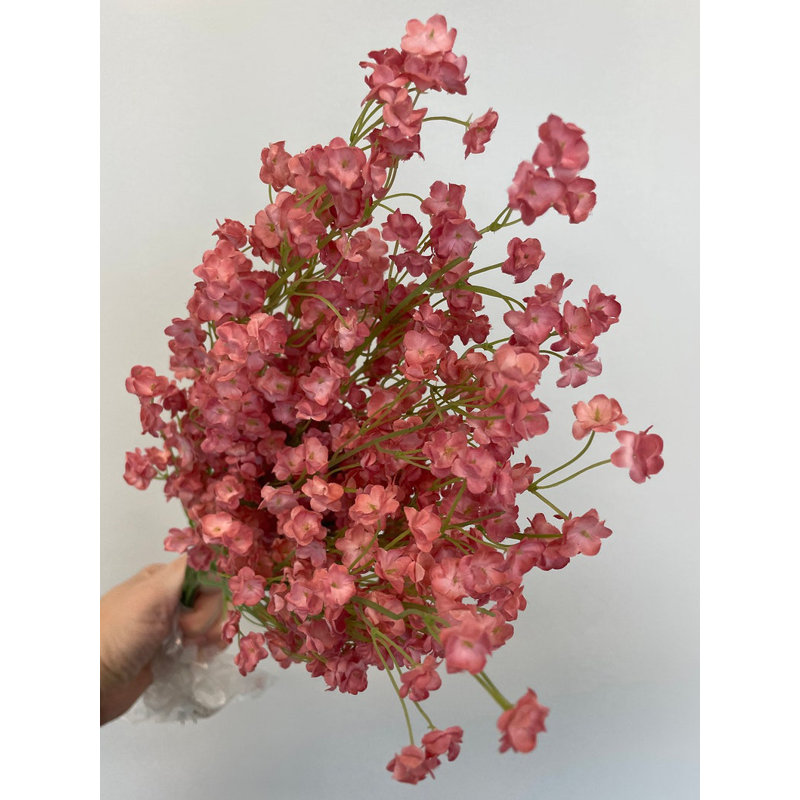 Petites jets de fleurs