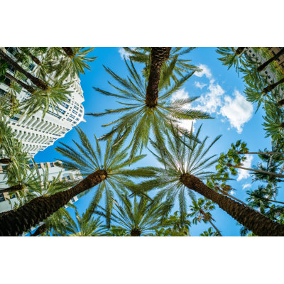 " Miami Beach Cityscape "