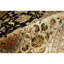 Oriental Area Rug in Gold