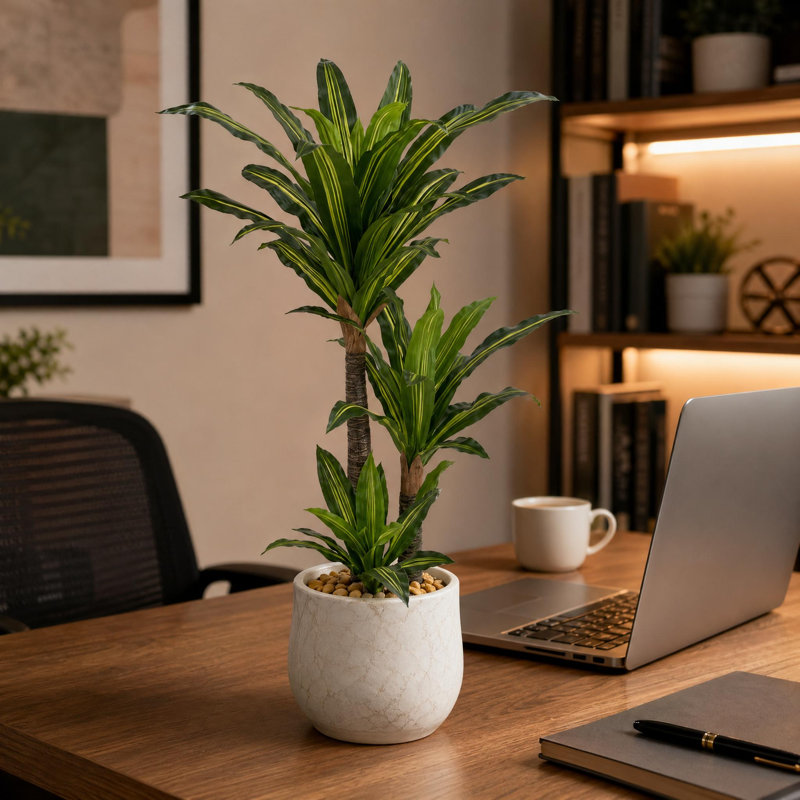 Arbre en fer brésilien artificiel 6 pi avec tronc épais - plante Dracaena Fragrans à 2 têtes en pot blanc rétro avec cailloux jaunes, arbre artificiel réaliste pour la décoration intérieure et extérieure, assemblage facile