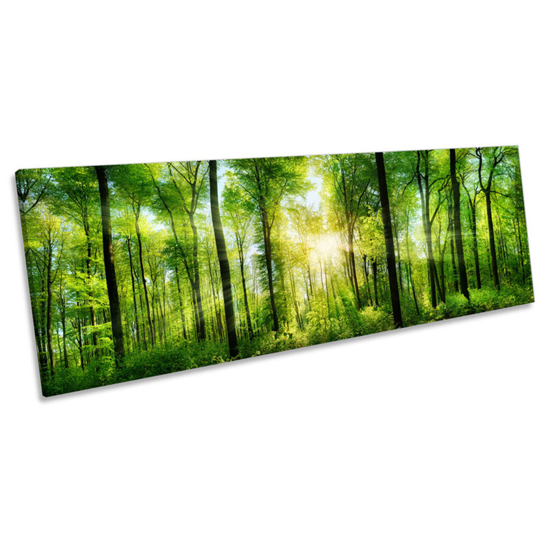 Green Forest Trees Sunset - Wrapped Canvas Panoramic Print, 45.72cm H x 137.16cm W x 2cm D