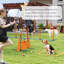 69cm H Dog Agility