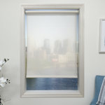 Sheer Roller Shade
