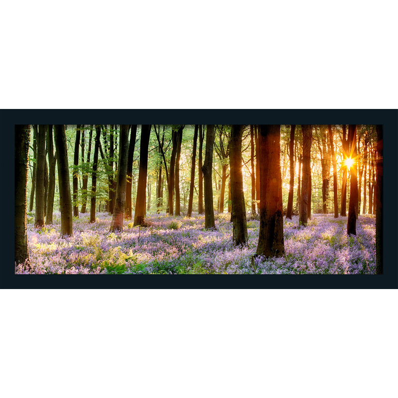 Forest - Single Picture Frame Print