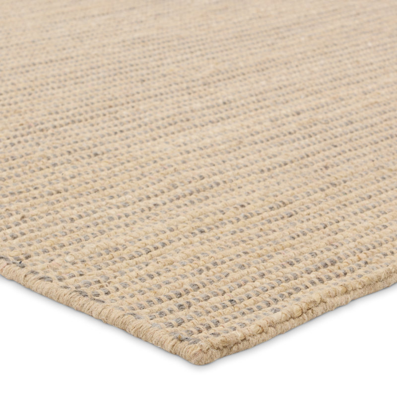 Eartha Solid Color Hand LoomedWool/Viscose/Polyester/Jute/Cotton Indoor / Outdoor Area Rug in Gray/Tan, Rectangle 5' x 8'