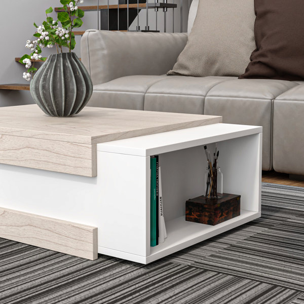 Ebern Designs Aksha Floor Shelf Coffee Table with Storage & Reviews ...