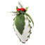 Ensemble de 6 ornements en forme de pomme de pin glacée blanc / vert