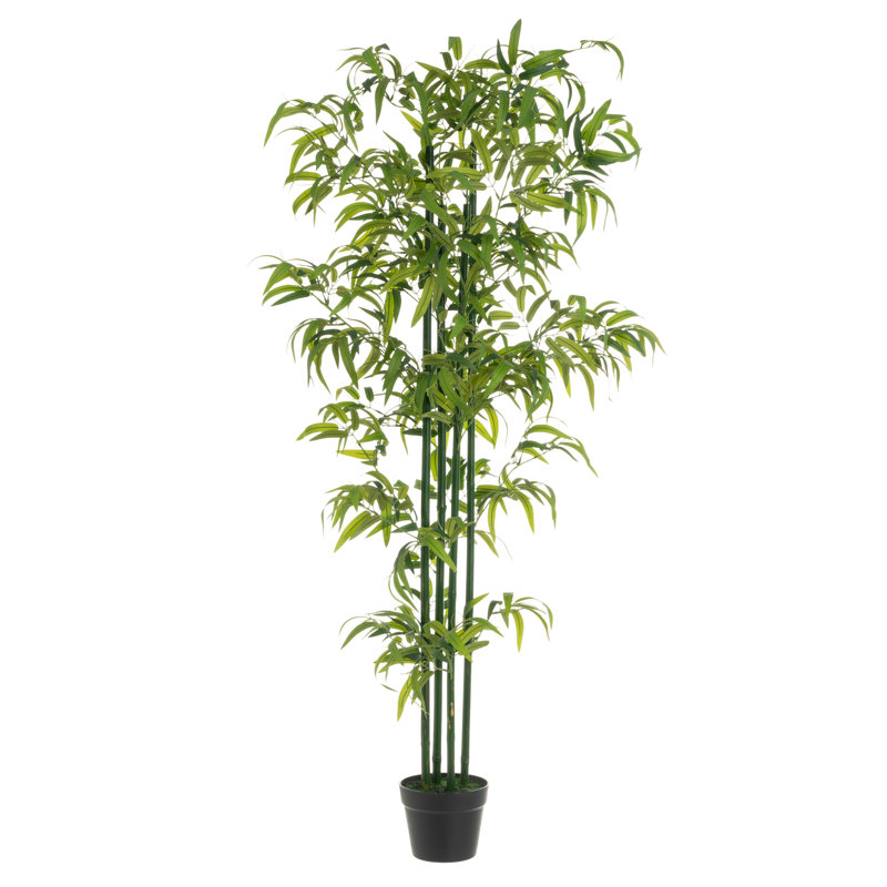 Faux Bamboo Tree in Pot, 94cm H x 70cm W x 70cm D