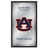 Auburn University