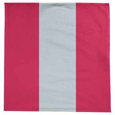 Houston Basketball Tablecloth