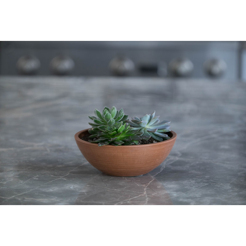Ensemble de pots à fleurs en composite Cara, Terra Cotta, H 4,75 po x l 12 po x P 12 po