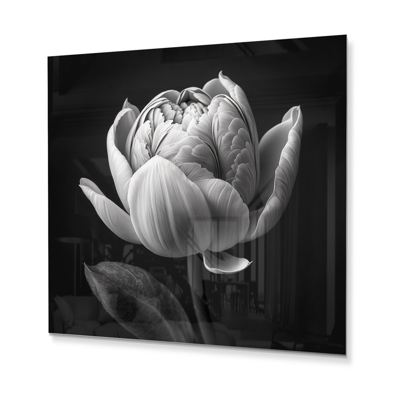 Habeych Plants & Flowers Wall Decor on Metal, 36" H x 36" W x 1" D