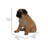 Sitting Dog Pug Statue