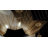 Aristocrat Semi-Flush Mount Light-128603147