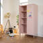 Nikeria 2 Door Steel Wardrobe-680393430