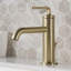 Robinet de lavabo vasque à poignée simple avec drain Ramus-50612614