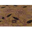Modern One-of-a-Kind 7'10X10'2 Hand Knotted Area Rug
