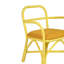 Chaise en rotin vert-2021978294