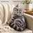 Shorthair Cat Looking Back Sit Shaped Throw Pillow Photorealistic Decorative Cushion for Bedroom Sofa Cat Lover Housewarming Gift Year-Round Home Decor 2D Flat Printing Shaped Stuffed Throw Pillow 50cm-139533300