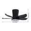 Ceiling Fan with LED Lights-1155946289