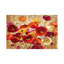 Holland's Garden by Nan - Wrapped Canvas Painting-1601147800