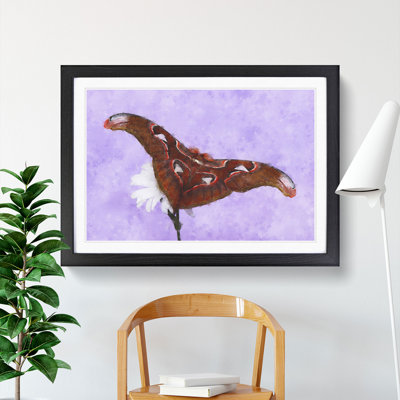 Moth on a White Flower - Framed Print