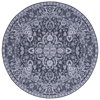 Eileena Performance Machine Washable Oriental Rug