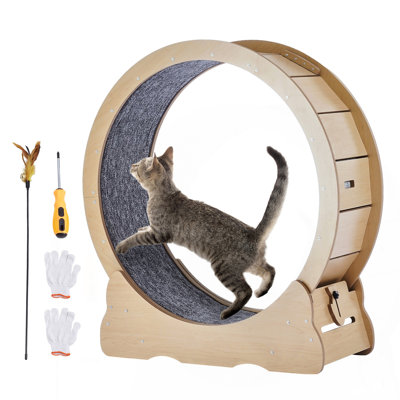 Grande roue de tapis roulant pour chats d'intérieur pour chat 35,8 pouces
