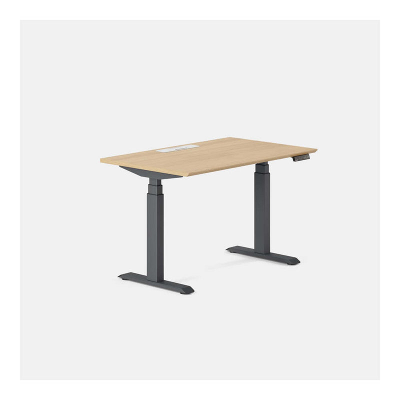 Standing Desk, Charcoal, Woodgrain, 52" H x 48" W x 30" D