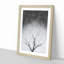 Bird House in a Tree - Picture Frame Graphic Art Print-56862829-56862824