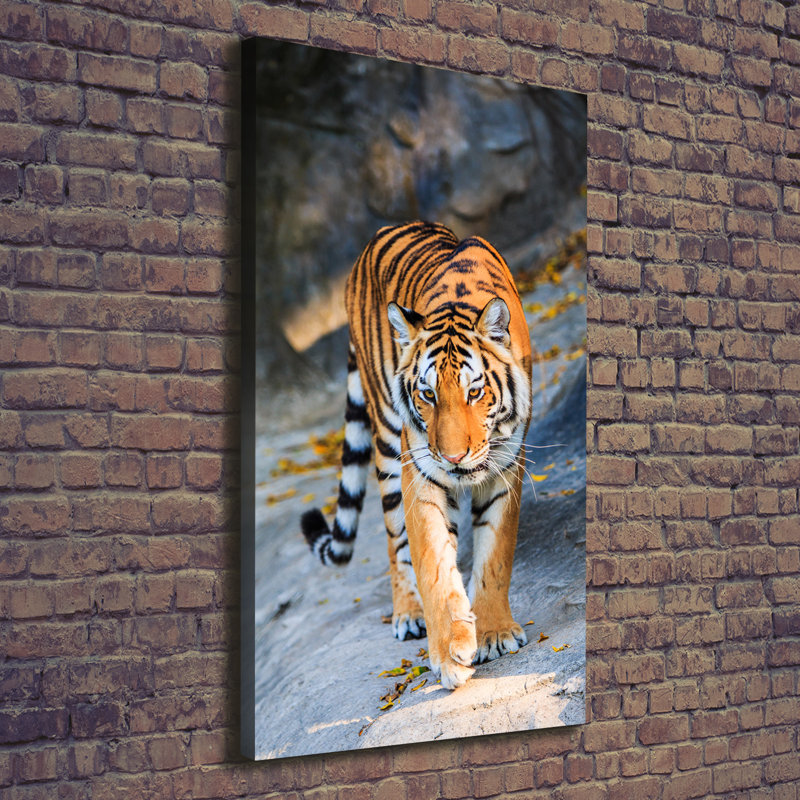 Tiger - Wrapped Canvas Print