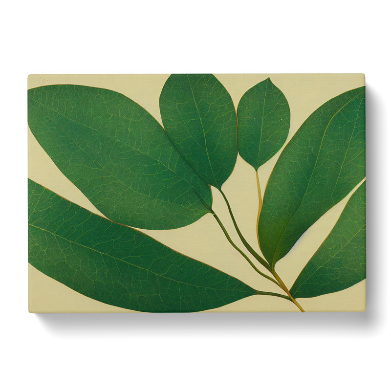 Picturesque Leaf - Wrapped Canvas Print, 35cm H x 50cm W x 3cm D