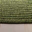 Lakehurst Solid Green Indoor/Outdoor Rug-993691588