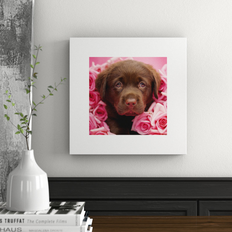 Rachael Hale - No Frame Print