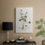 Étude de bouton d'or - galerie Cavas sur mesure-117868015