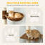 Centre d'activités pour chat 8,5 pi avec 5 niveaux