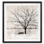 Lonely Tree - Single Picture Frame Print-520943146