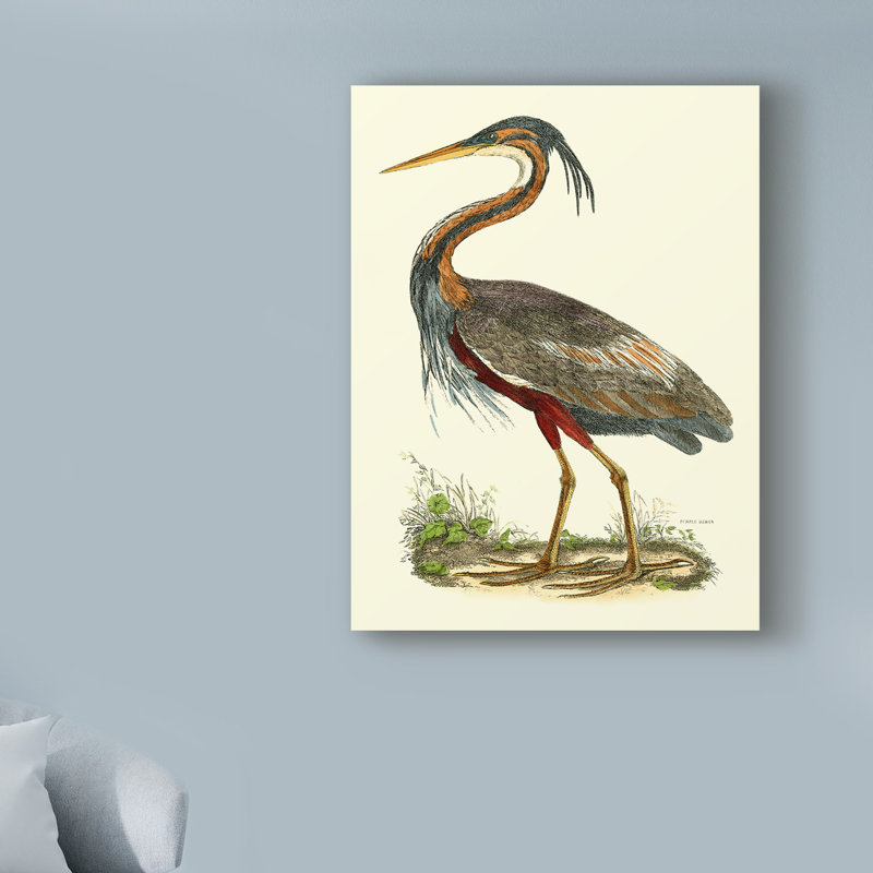 «Custom Purple Heron» par John Selby, reproduction sur toile, H 32 po x l 24 po x P 2 po