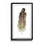 Soft Feather I - cadre photo, impression sur papier-1281794176-1281794177