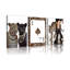 3 Piece Wrapped Canvas Print-1525350198