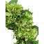 30" Artificial Light Green Hydrangea Wreath